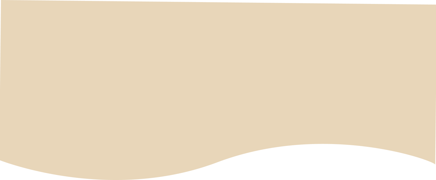 Casa Contenta Services